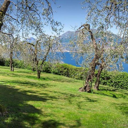 Villa Dismero-Un Oasi Di Lusso E Privacy Brenzone sul Garda Bagian luar foto