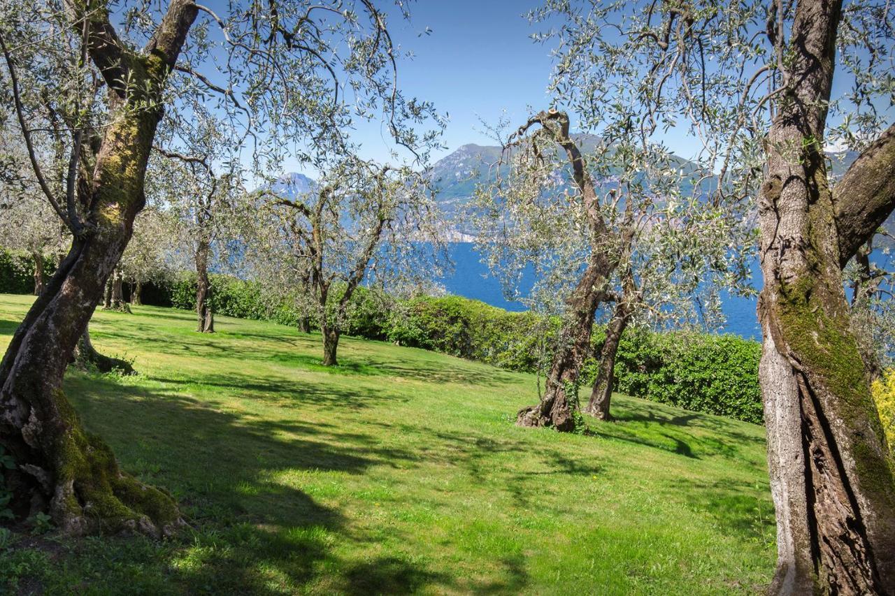 Villa Dismero-Un Oasi Di Lusso E Privacy Brenzone sul Garda Bagian luar foto